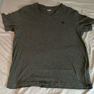 Large Express Short Sleeve Shirt